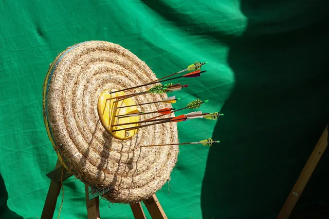 arrow, target, range, bullseye, sport, aim, hit, accuracy, shooting, training, archery, shot, game, competition, center, dartboard, aiming, practice, circle, targeting, goal, achievement, bow, precision, success, bullseye, bullseye, archery, archery, archery, archery, archery, practice, practice. Valutare risultati rispetto all'obiettivo iniziale